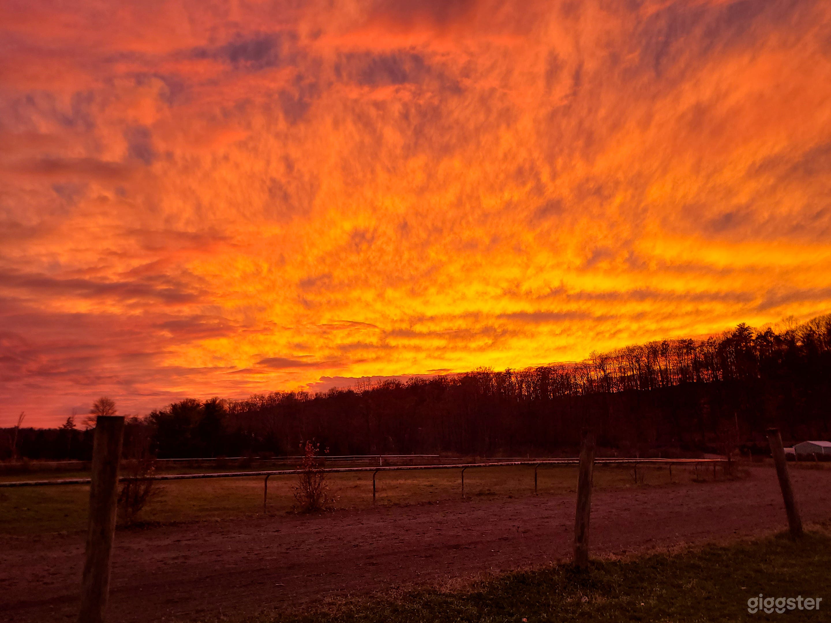 Horse Ranch with Race Track  Photo 4