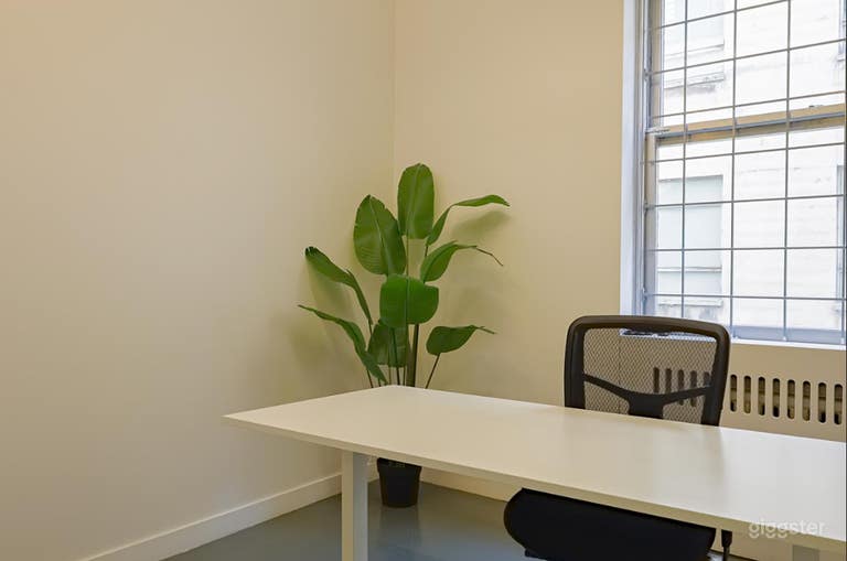  Cozy & Aesthetic 2-Person Office 