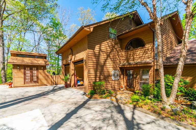  Safari Studio: A Eclectic Jungle Oasis on the Lake 