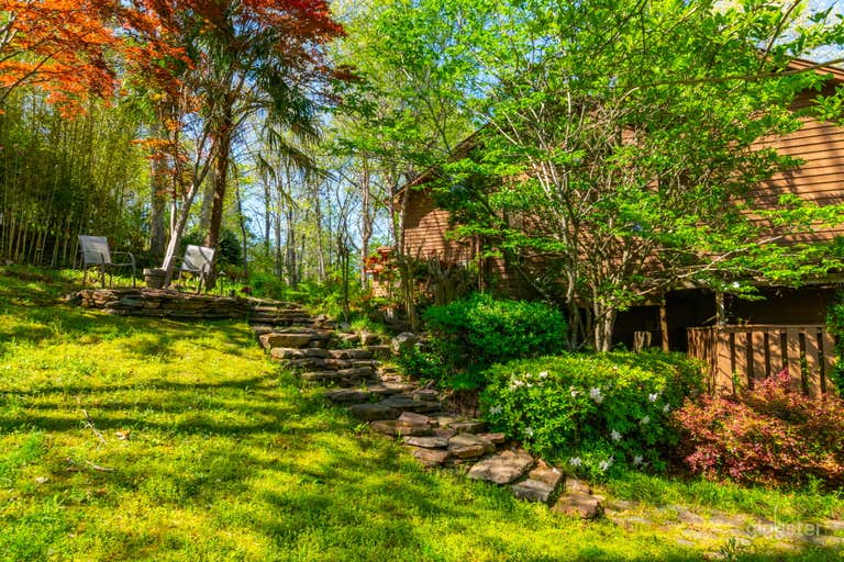  Safari Studio: A Eclectic Jungle Oasis on the Lake 