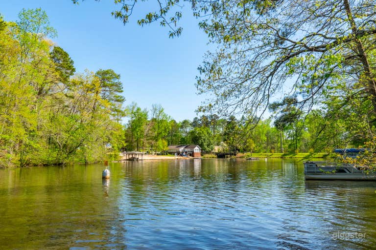  Safari Studio: A Eclectic Jungle Oasis on the Lake 