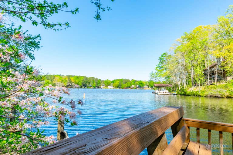  Safari Studio: A Eclectic Jungle Oasis on the Lake 