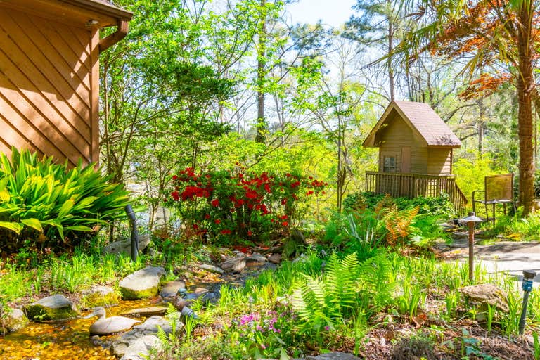  Safari Studio: A Eclectic Jungle Oasis on the Lake 