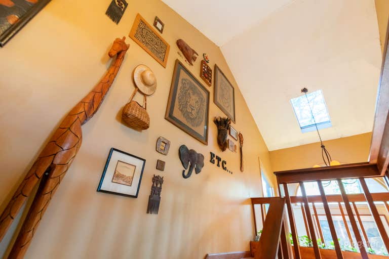  Safari Studio: A Eclectic Jungle Oasis on the Lake 