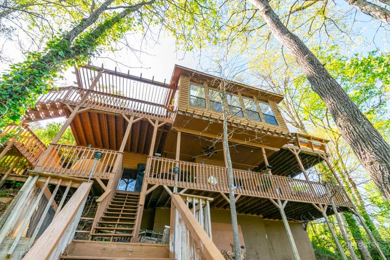  Safari Studio: A Eclectic Jungle Oasis on the Lake 