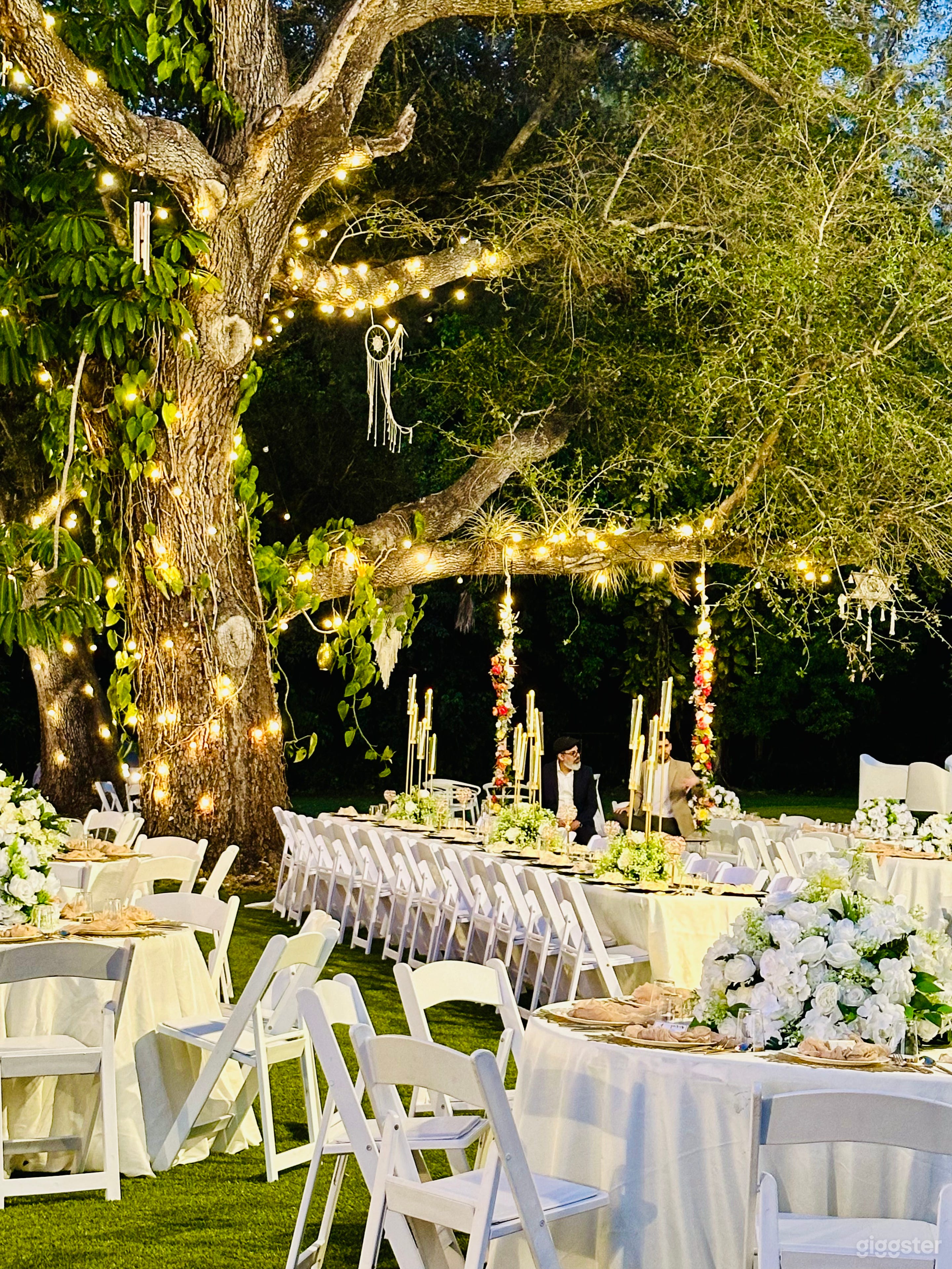 Tropical pool in Cooper City Photo 3