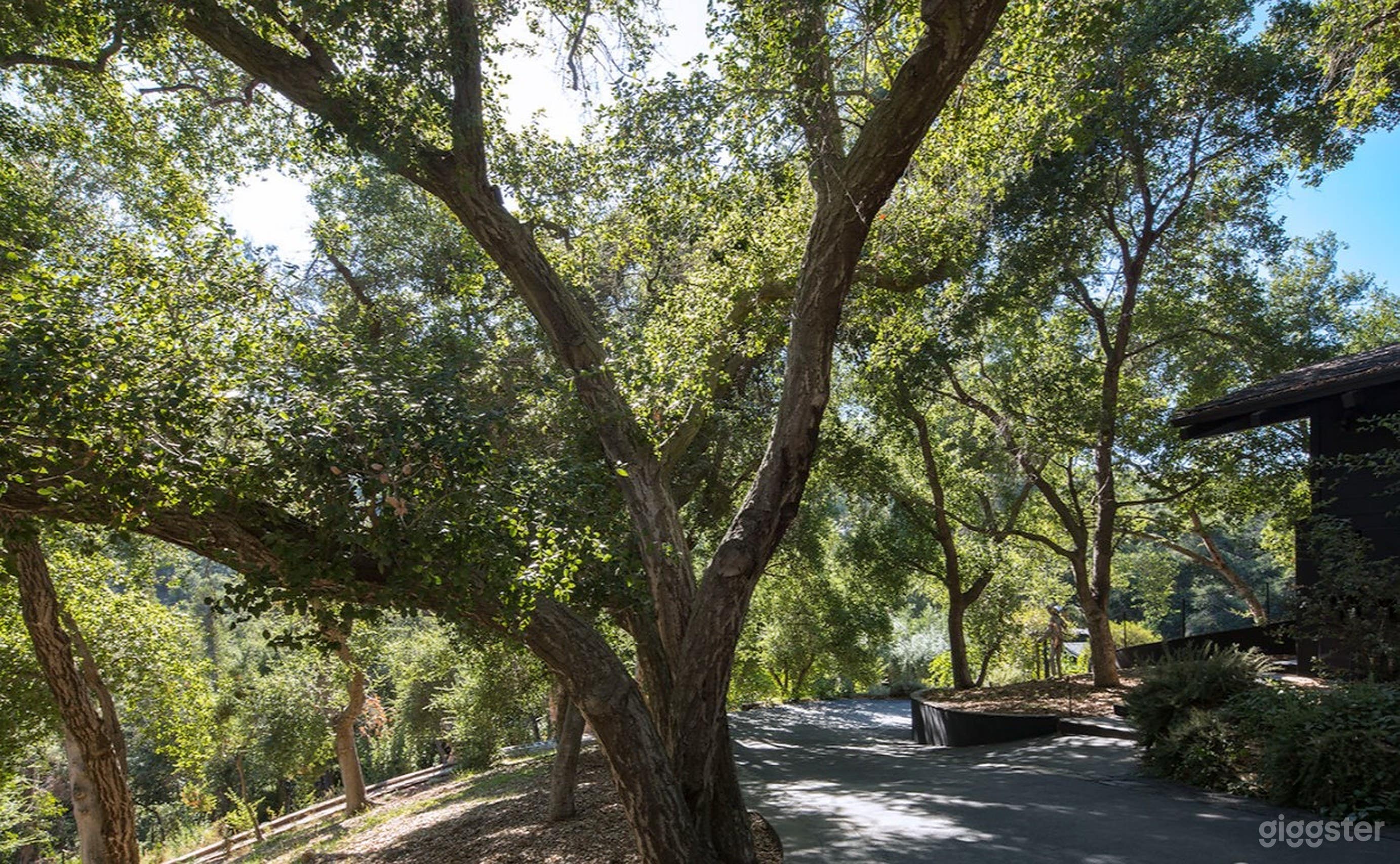 Unparalleled Outdoor Space Photo 3