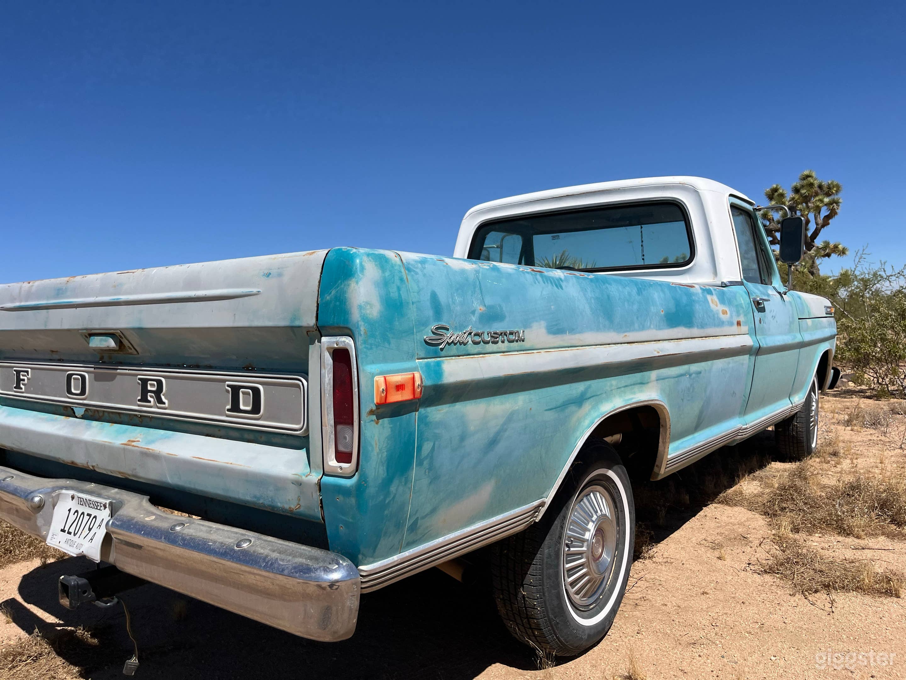 Ford F100 Vintage Pickup Truck Photo 4