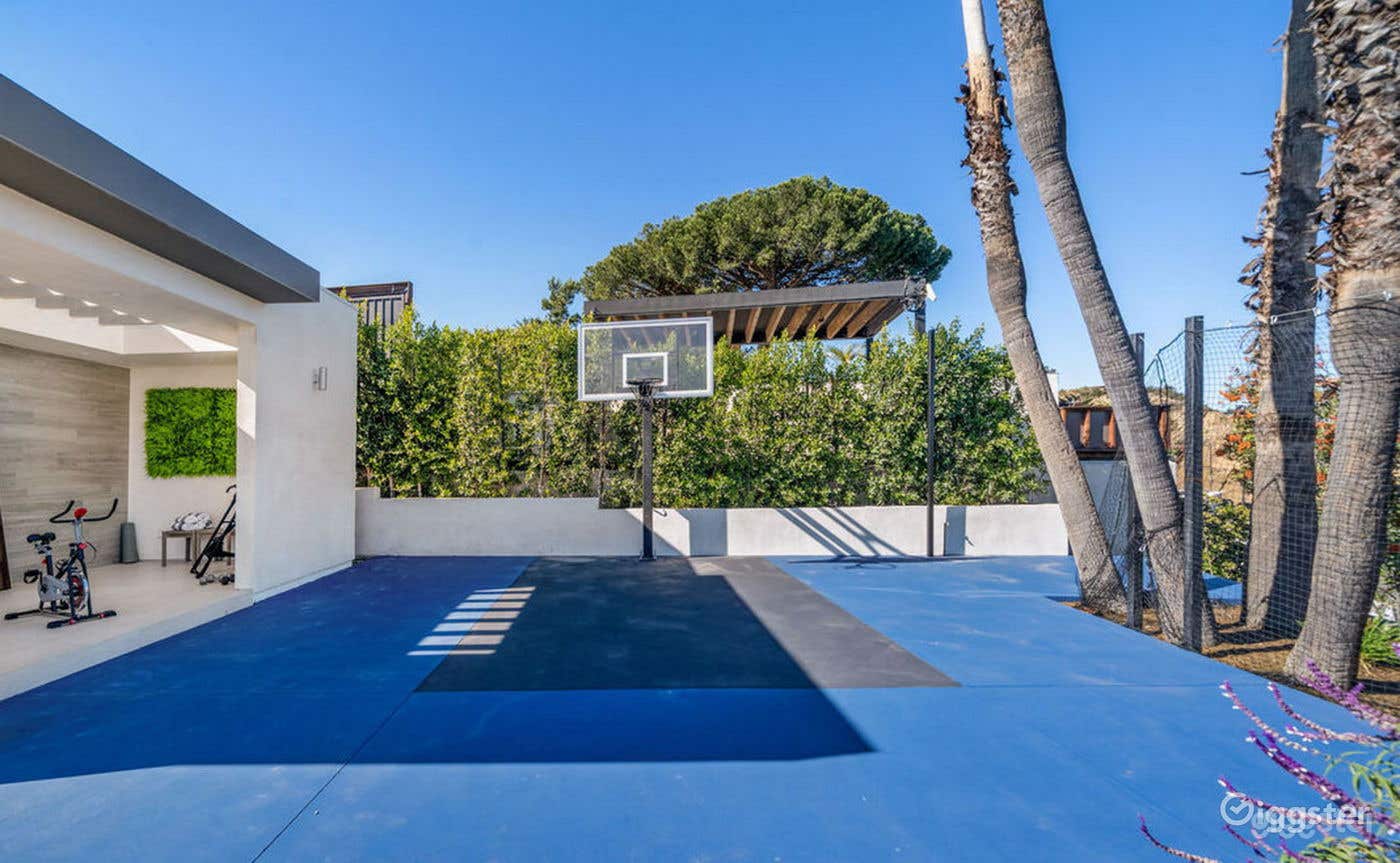  ART DECO/CONTEMPORARY ARTS &amp; CRAFTS MARVEL: BASKETBALL COURT Photo 1