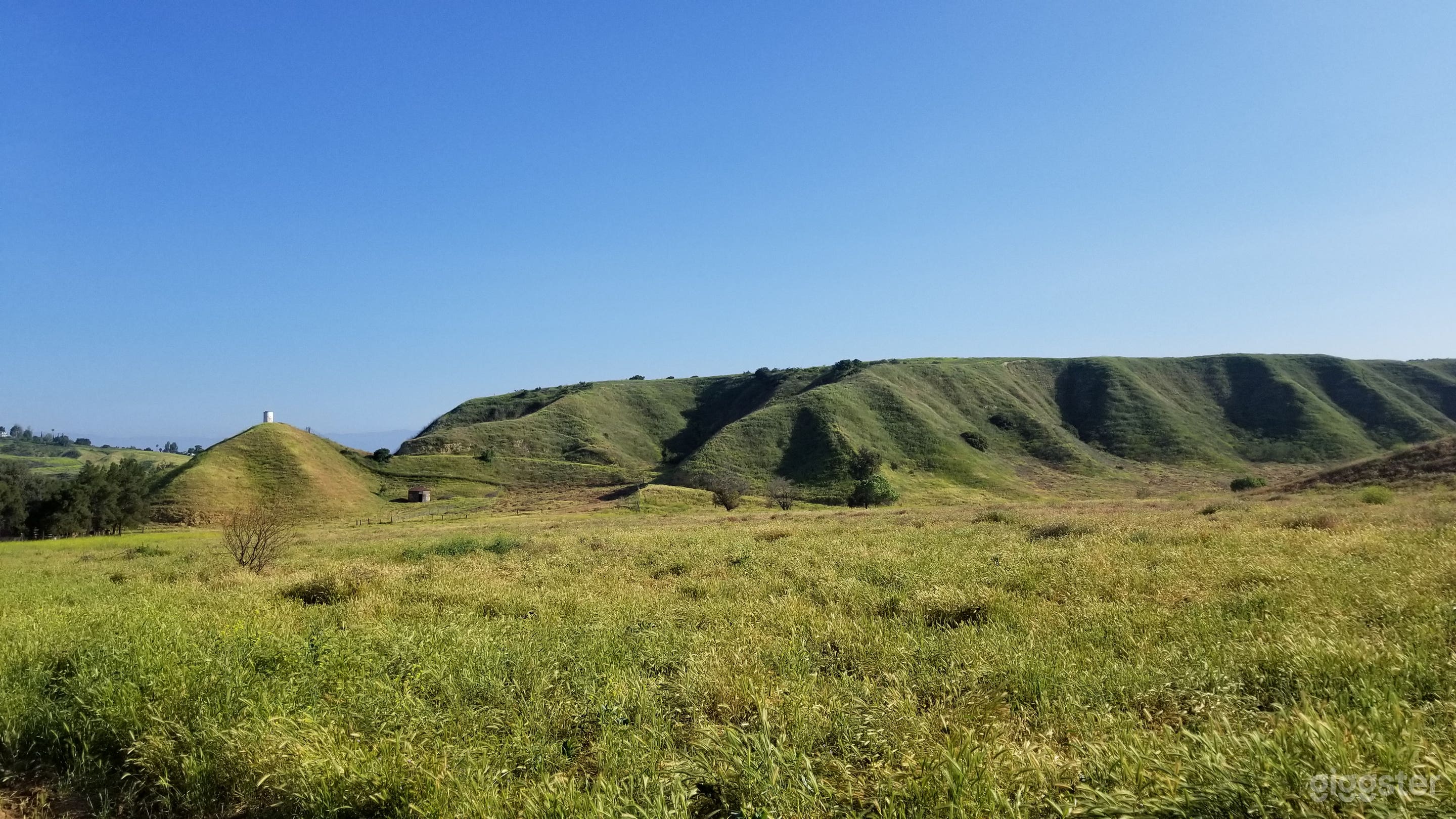 60 acres Cadillac Shack Ranch and Barns Photo 4