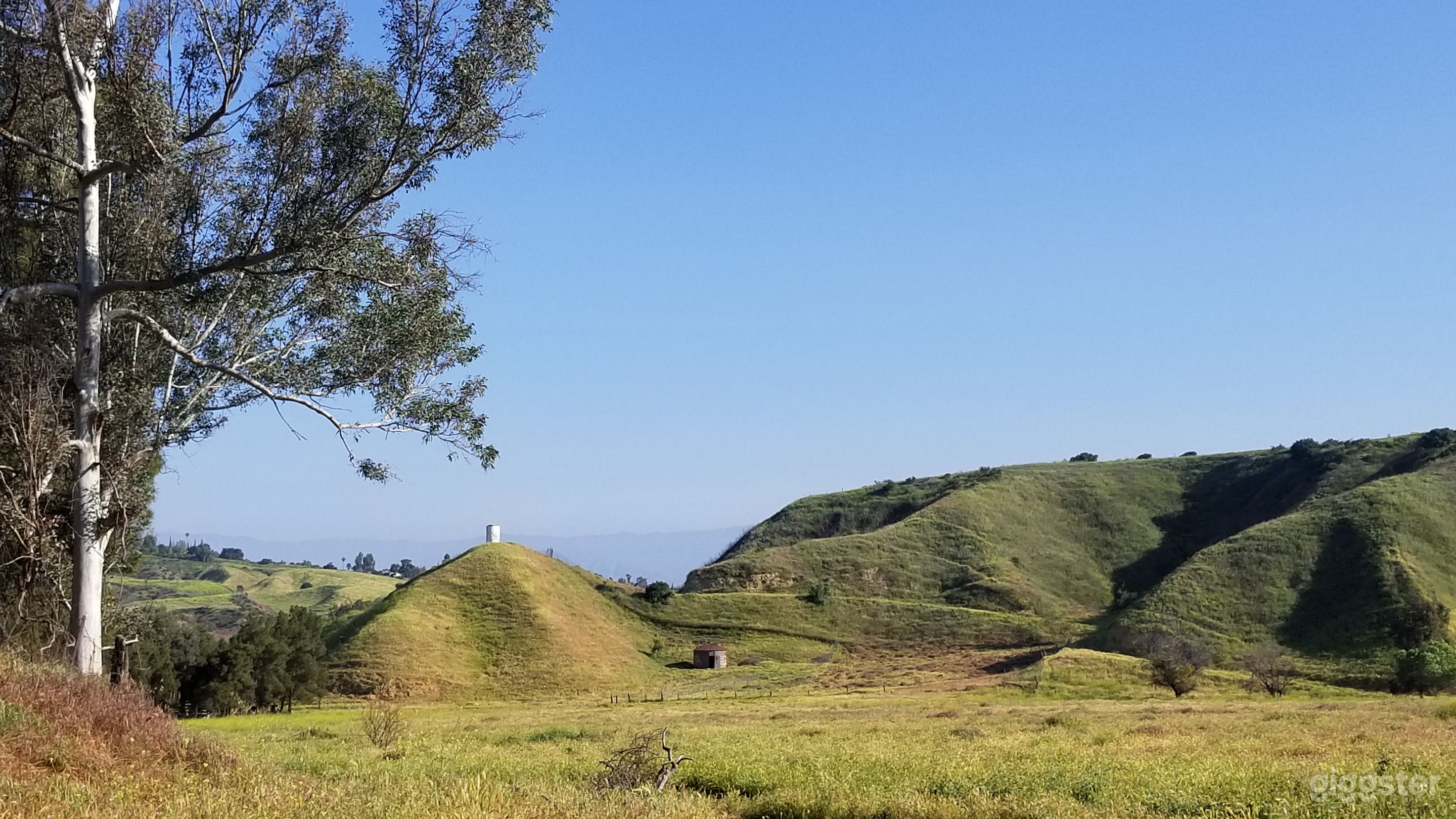 60 acres Cadillac Shack Ranch and Barns Photo 1