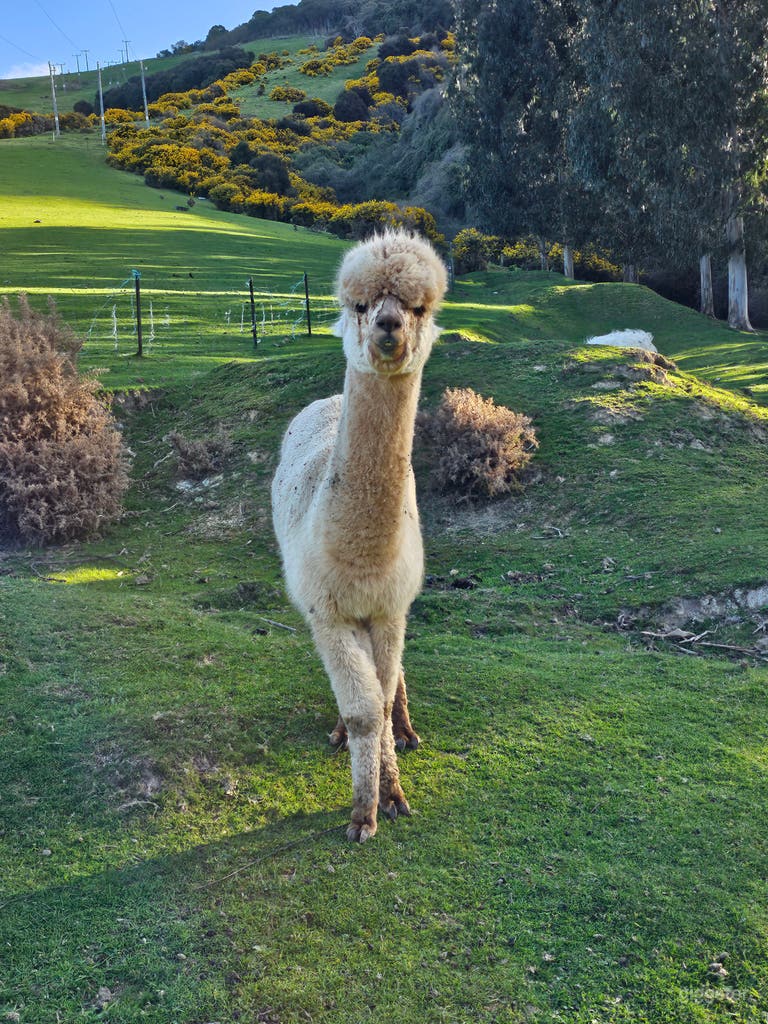  10 Acre Farm Property 