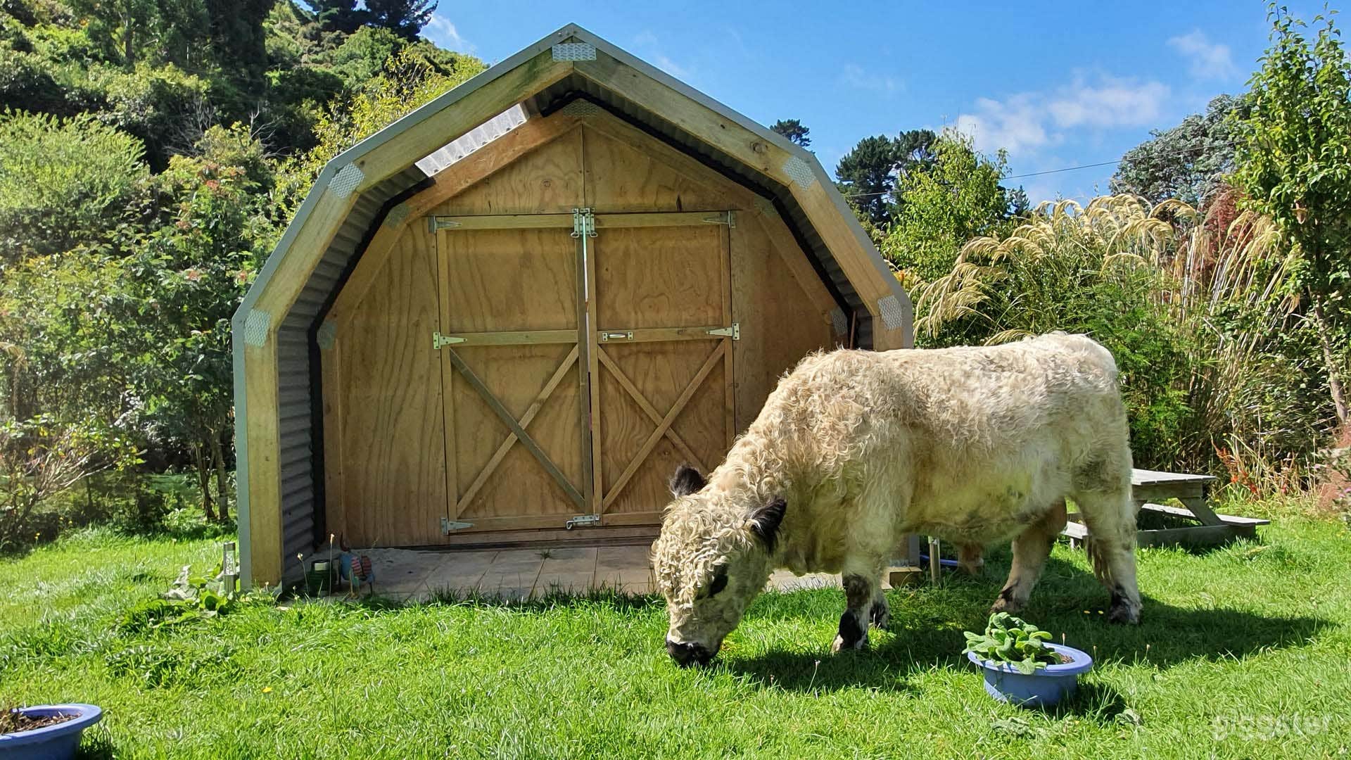 10 Acre Farm Property Photo 2