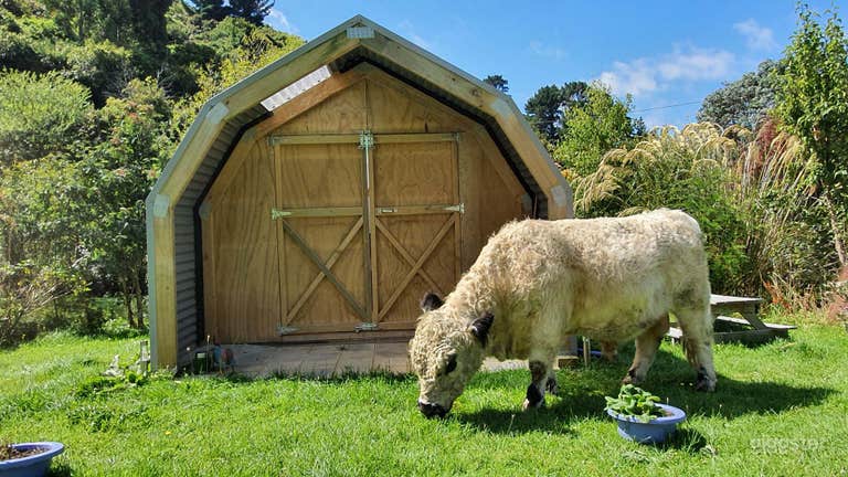  10 Acre Farm Property 