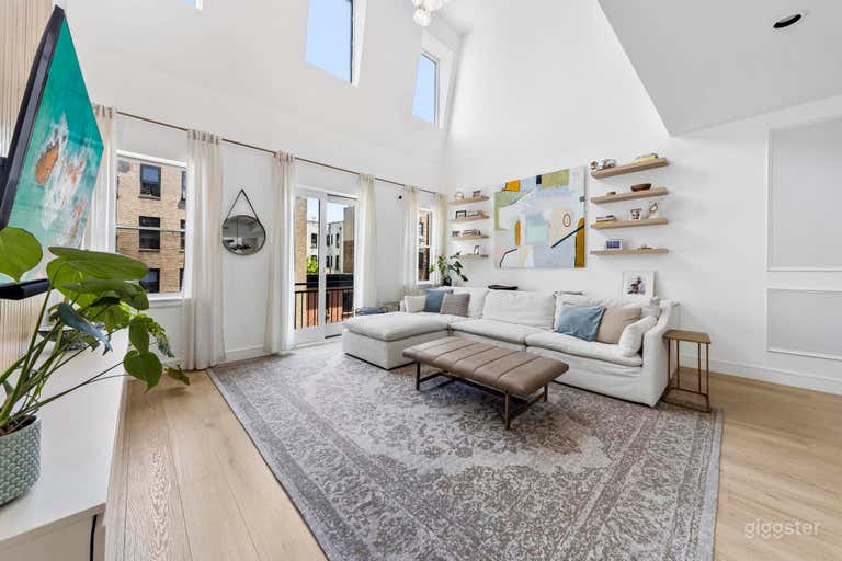  Spectacular Renovated, Modern Townhouse 