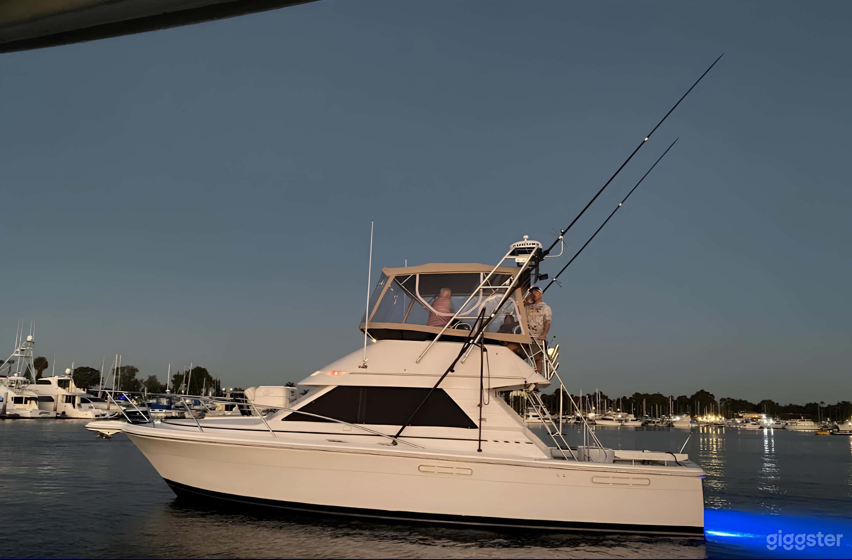 King Triton 37ft Phoenix Sportfisher-FISHING CHARTER Photo 1