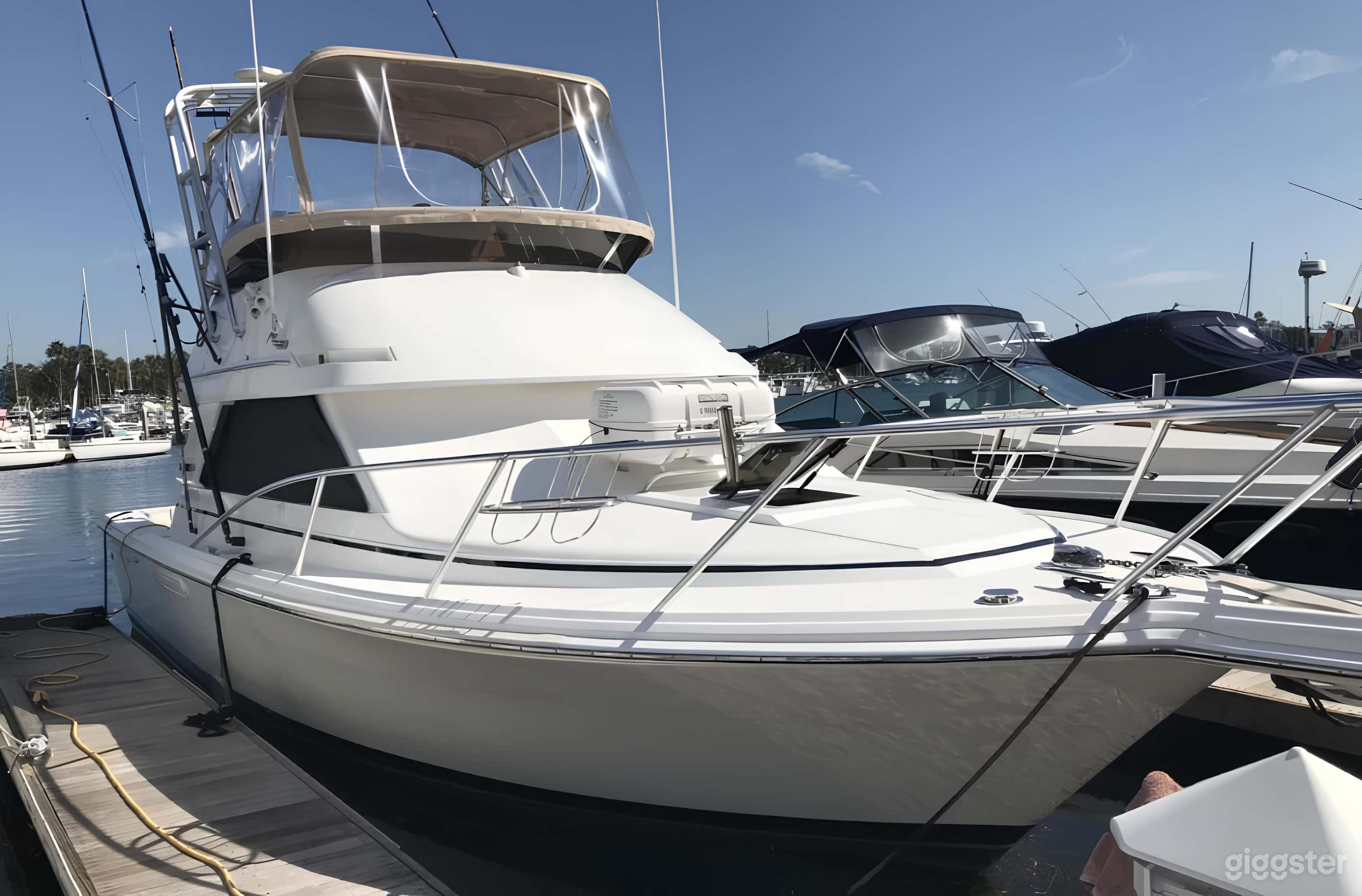 King Triton 37ft Phoenix Sportfisher-FISHING CHARTER Photo 3