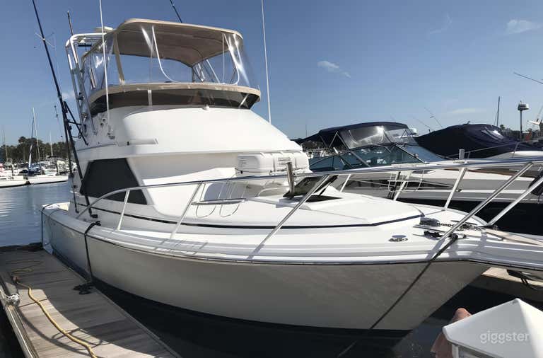  King Triton 37ft Phoenix Sportfisher-FISHING CHARTER 