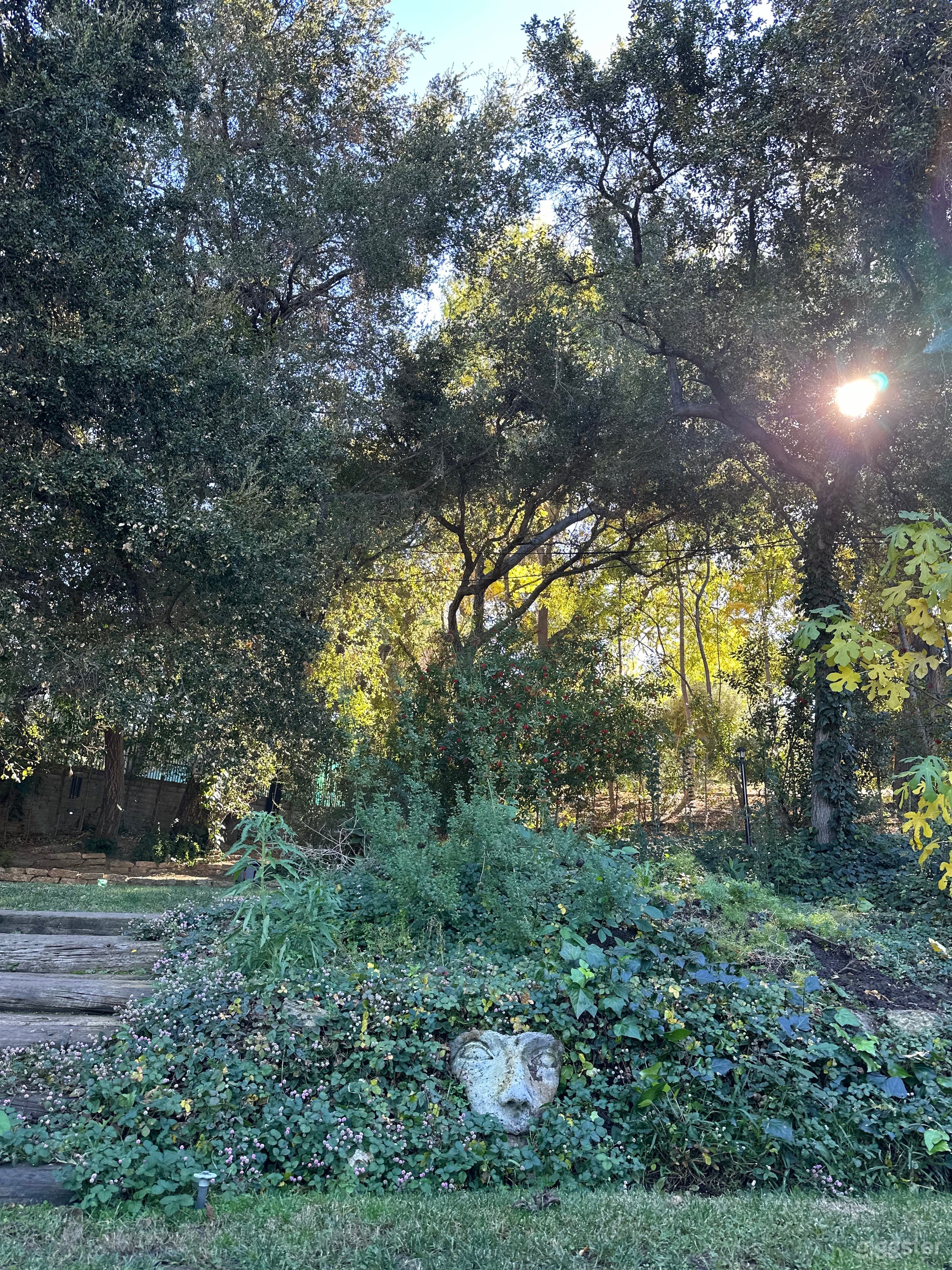 Serene Garden space for wellness events,Yoga and meditation. Flat area accommodates 40 people. Entire yard 60-80  