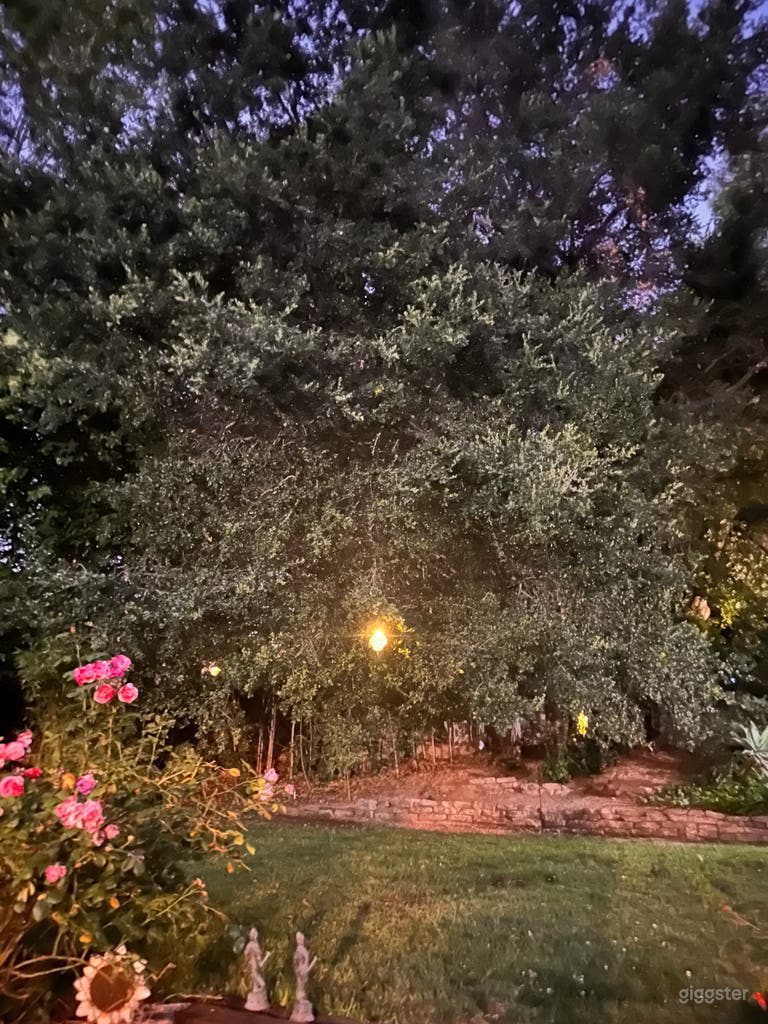  Afternoon- Evening outdoors 