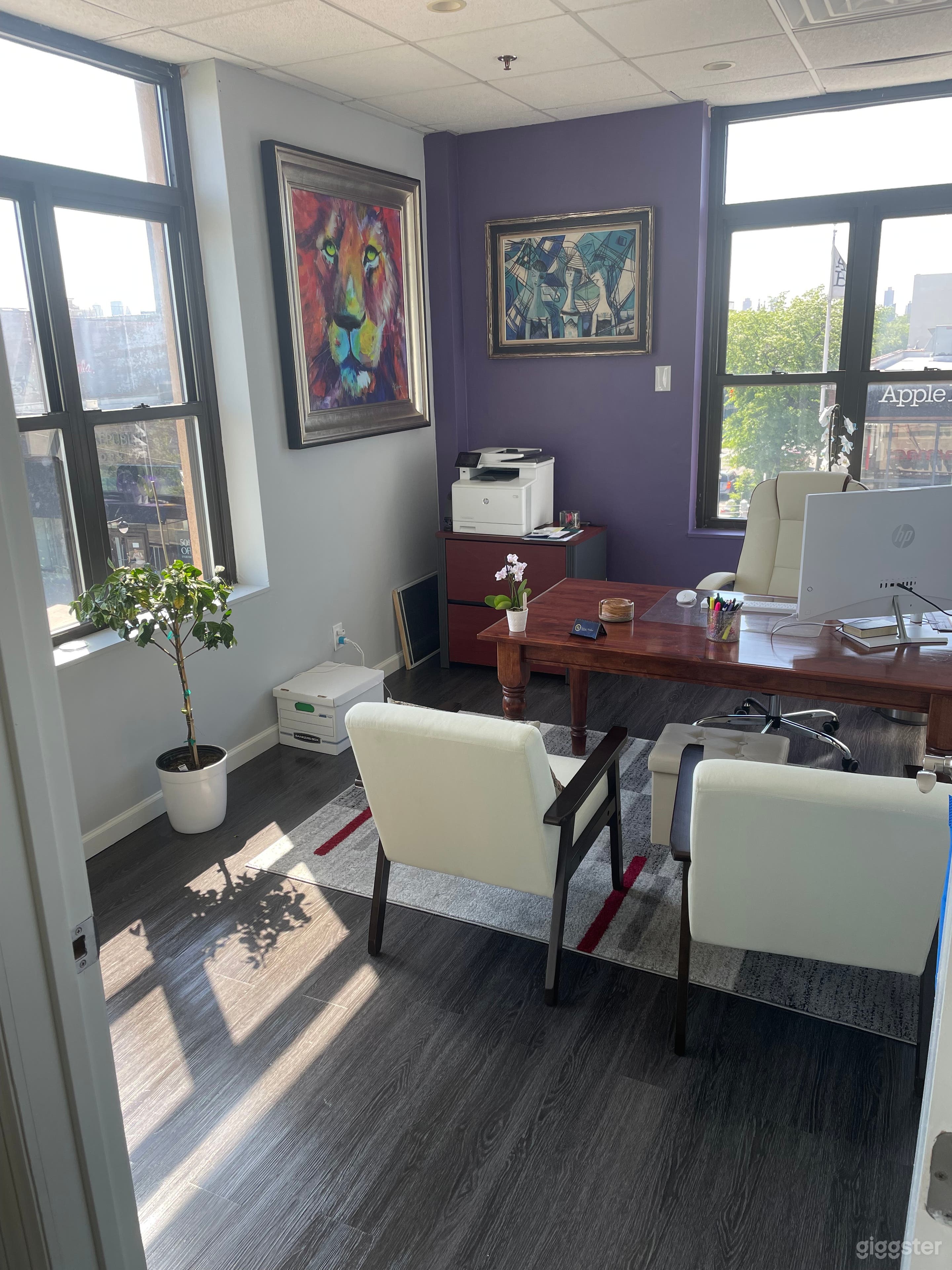 Sunlit executive office with modern decor — ideal for private meetings, client consultations, or filming professional scenes in Astoria, Queens