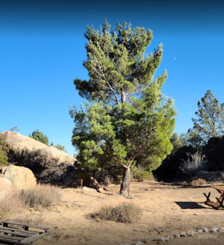 Large Open Space with Garage and Distilling Room Photo 2