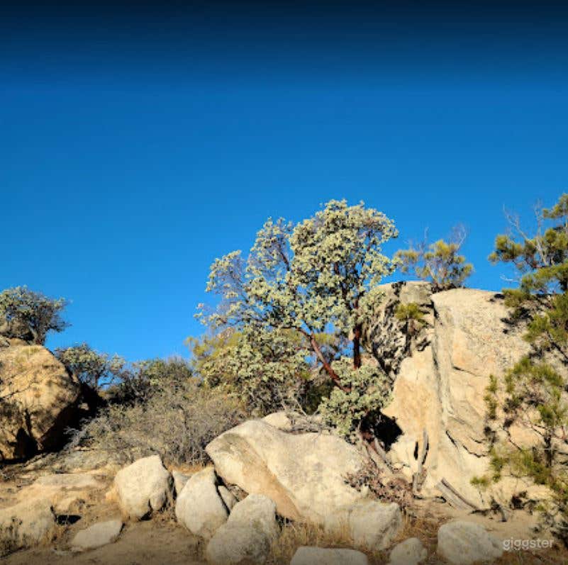 Large Open Space with Garage and Distilling Room Photo 4