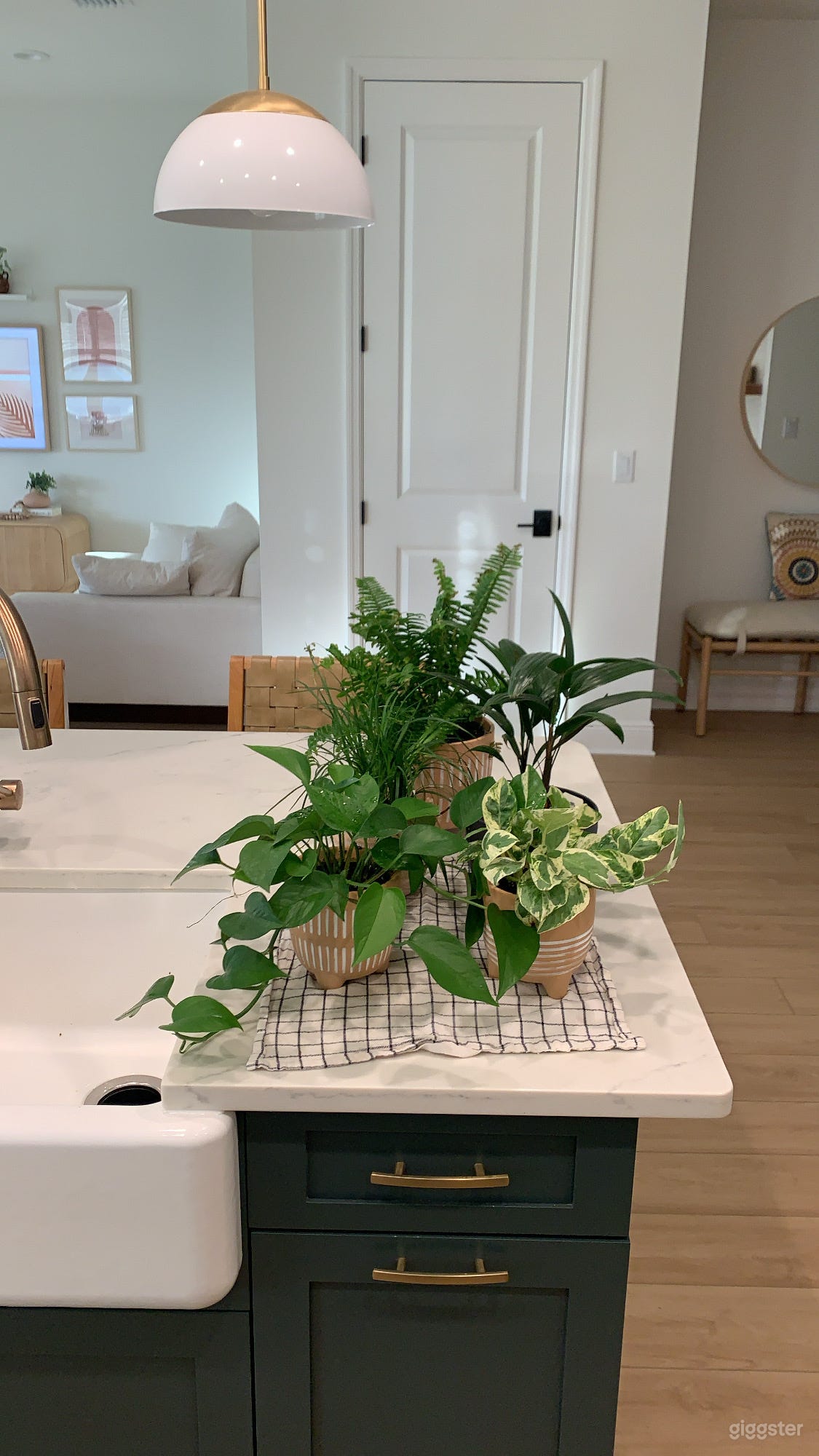 Florida Boho Minimal Photo 4