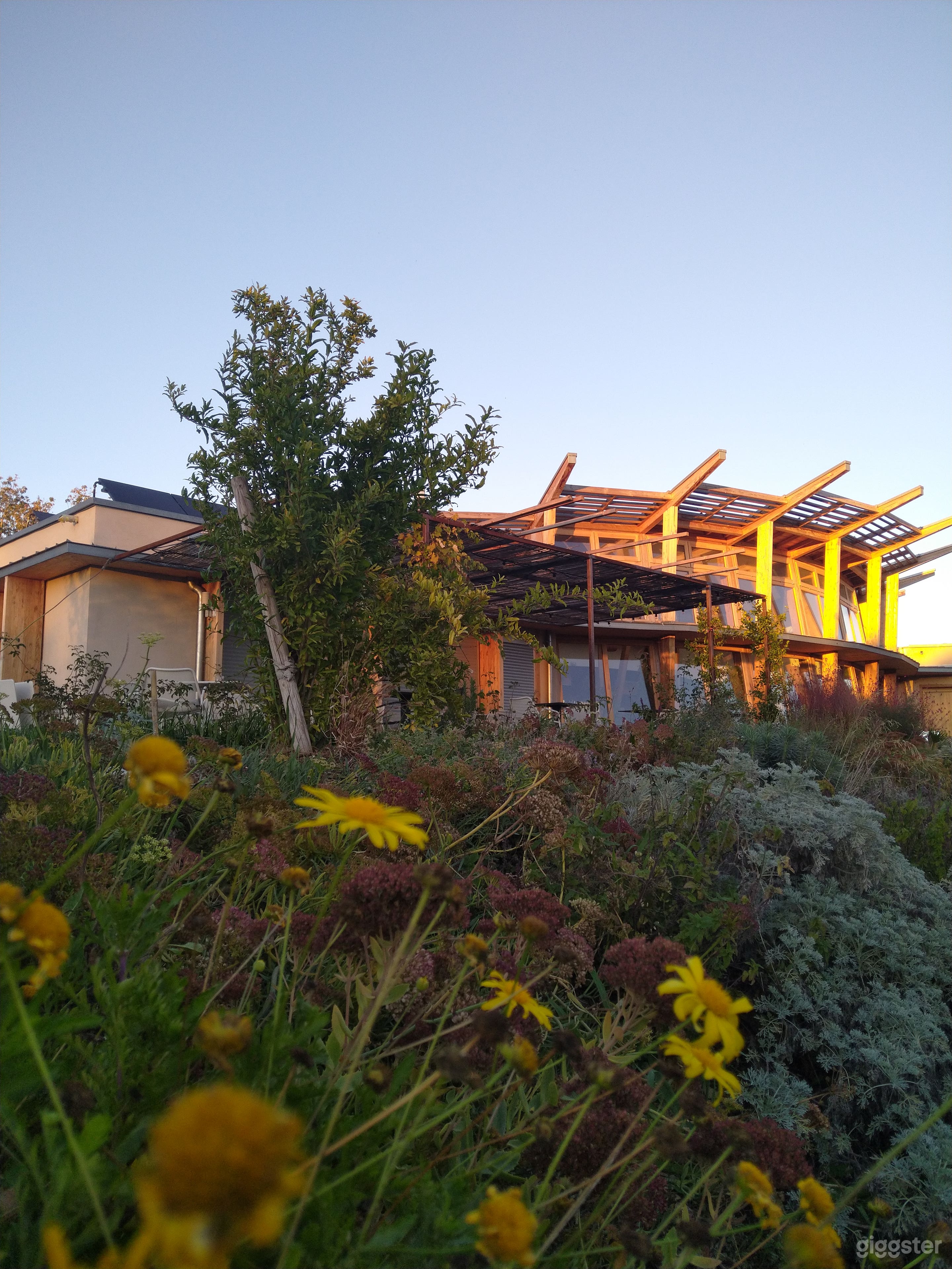 Photo de Restaurant Écoresponsable au Design Contemporain avec Lumièr 4