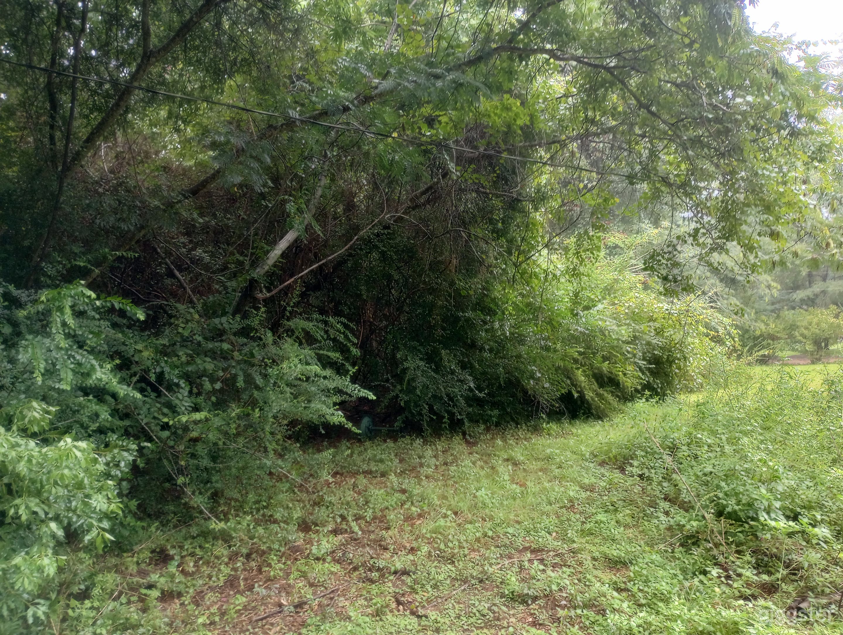 Abandoned and gutted ranch style house in North Florida Photo 4