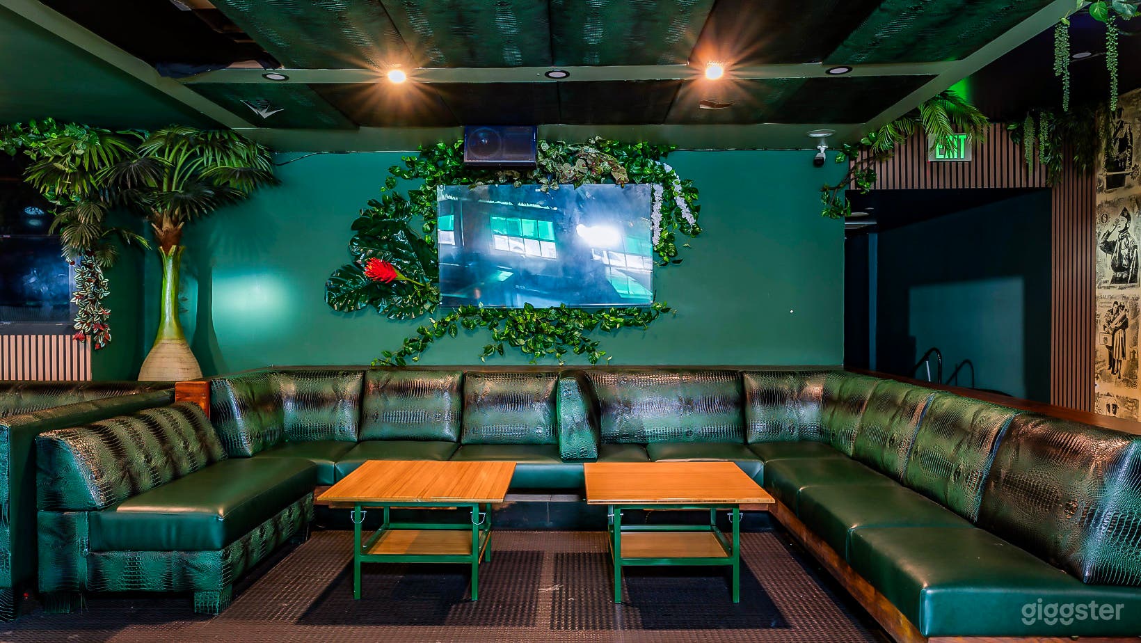 Vibrant Spacious Club Photo 2