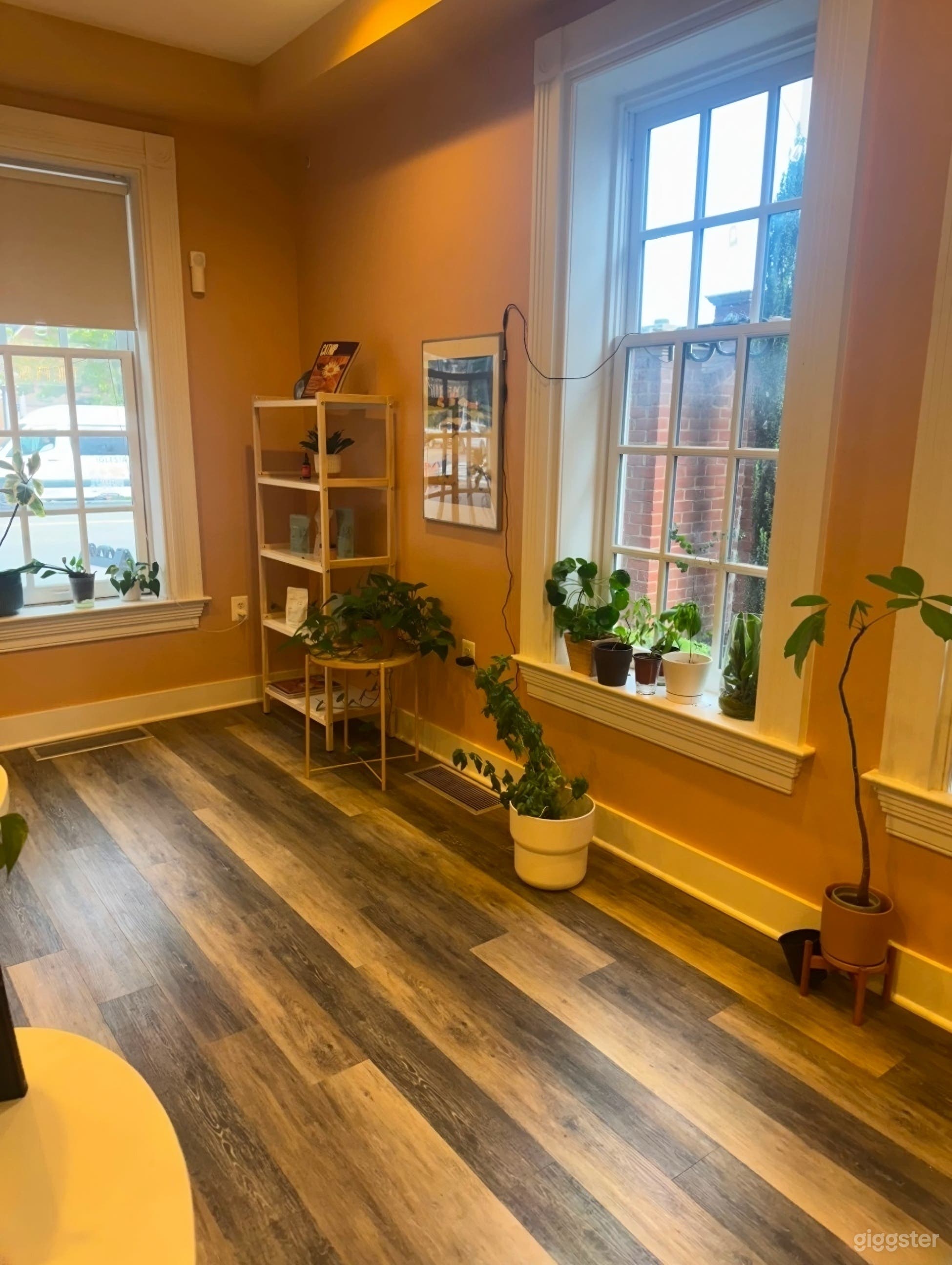 Stylish Wellness &amp; Boutique in Alexandria Photo 3