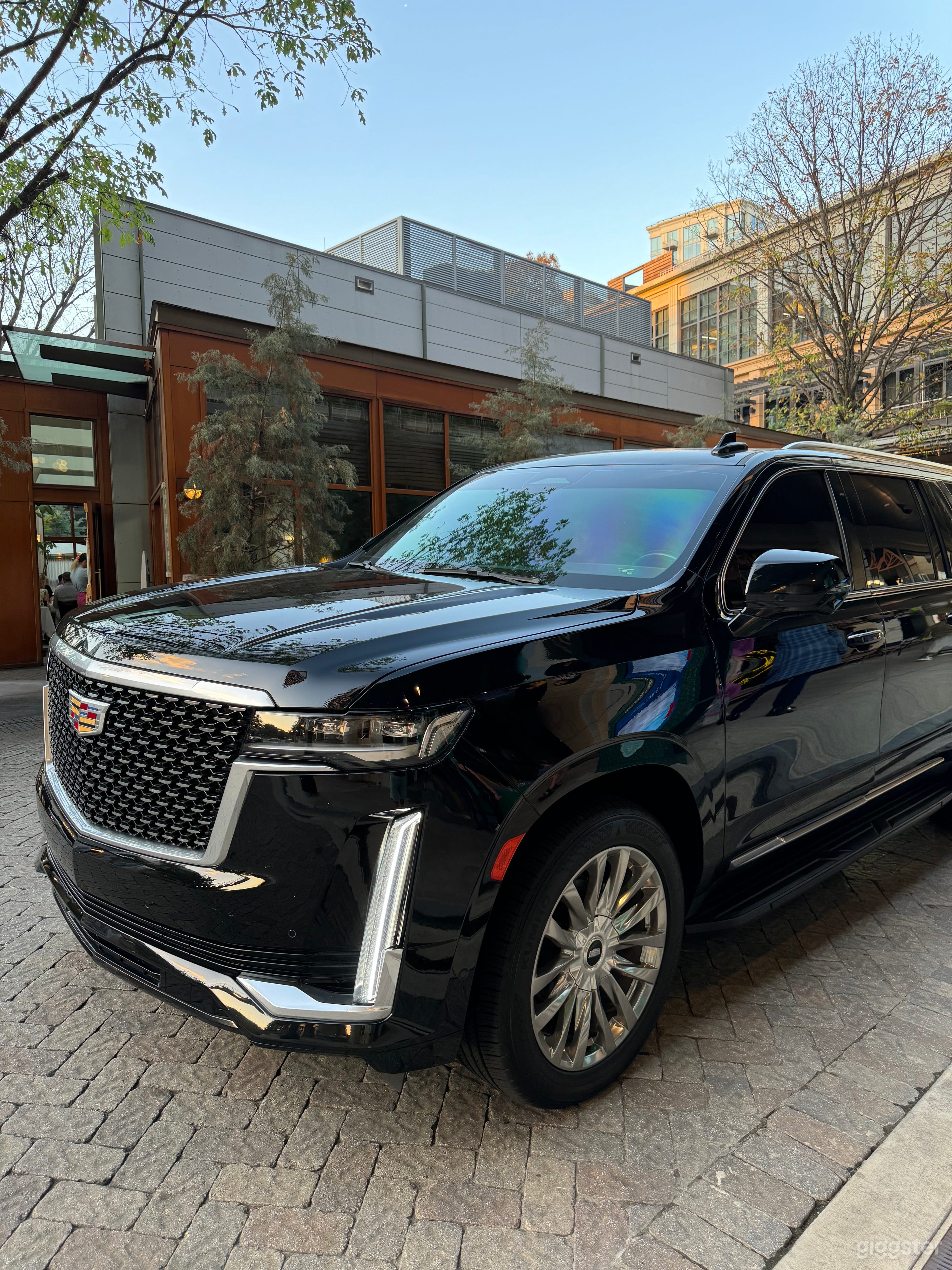 2022 Cadillac Escalade ESV Black Truck Photo 1