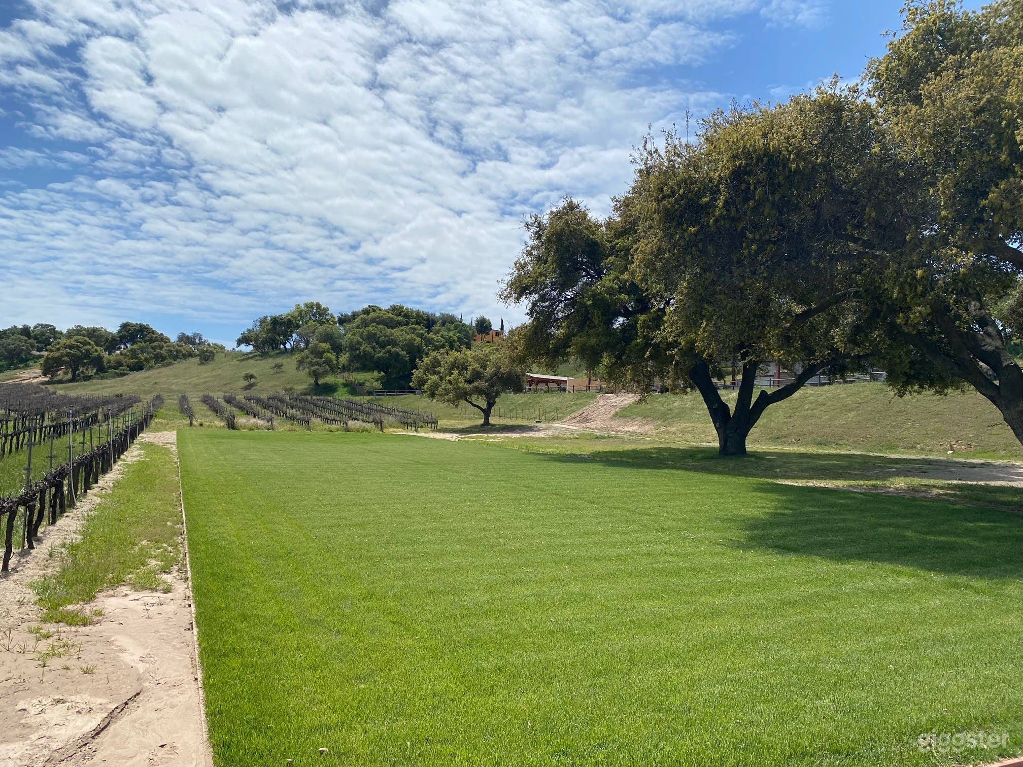 1988 Cave Wine Cellar Photo 4