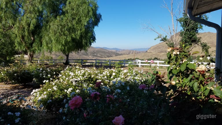  Patio delantero 
