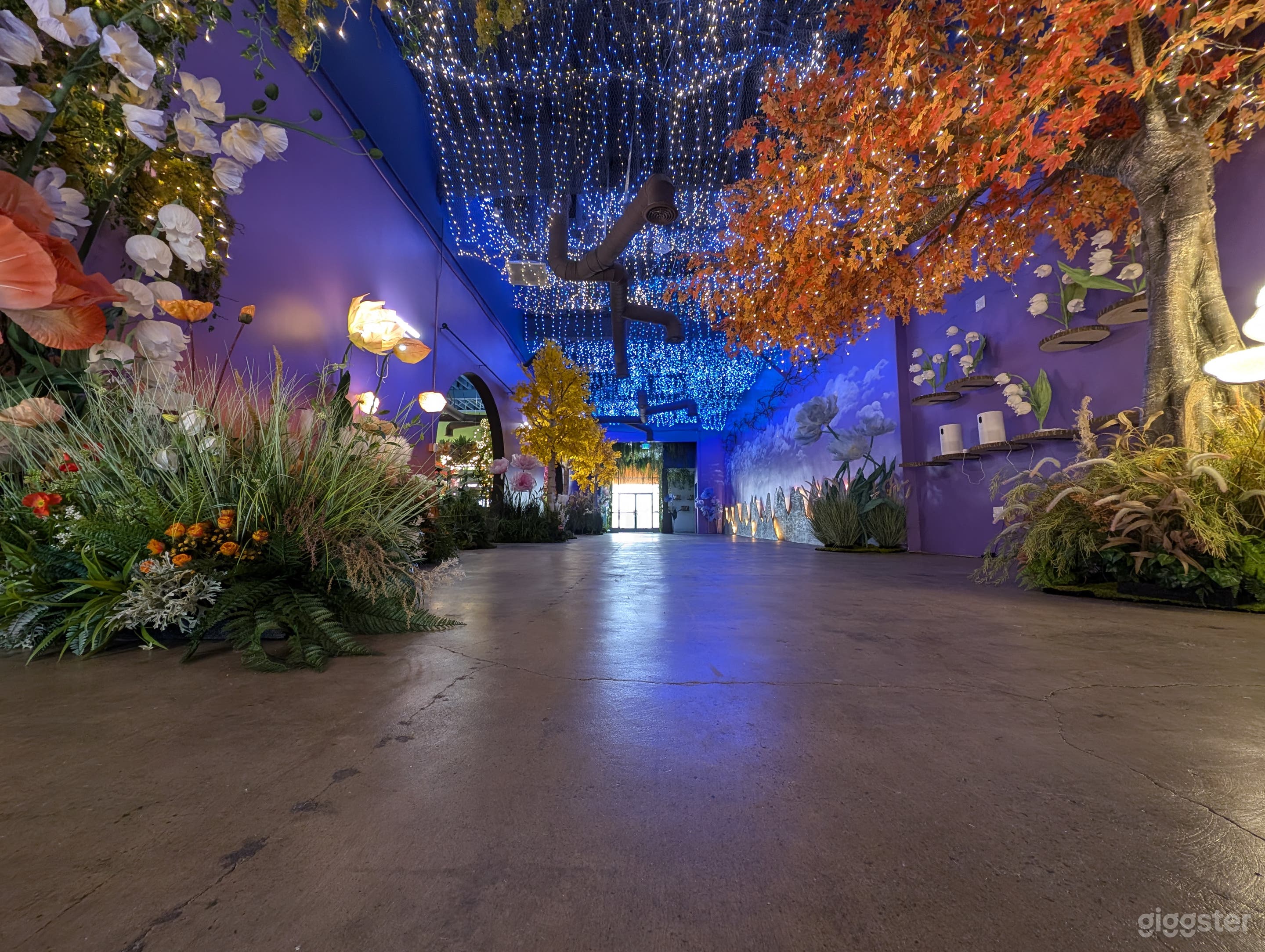 Color comparison - Taken with Android phone