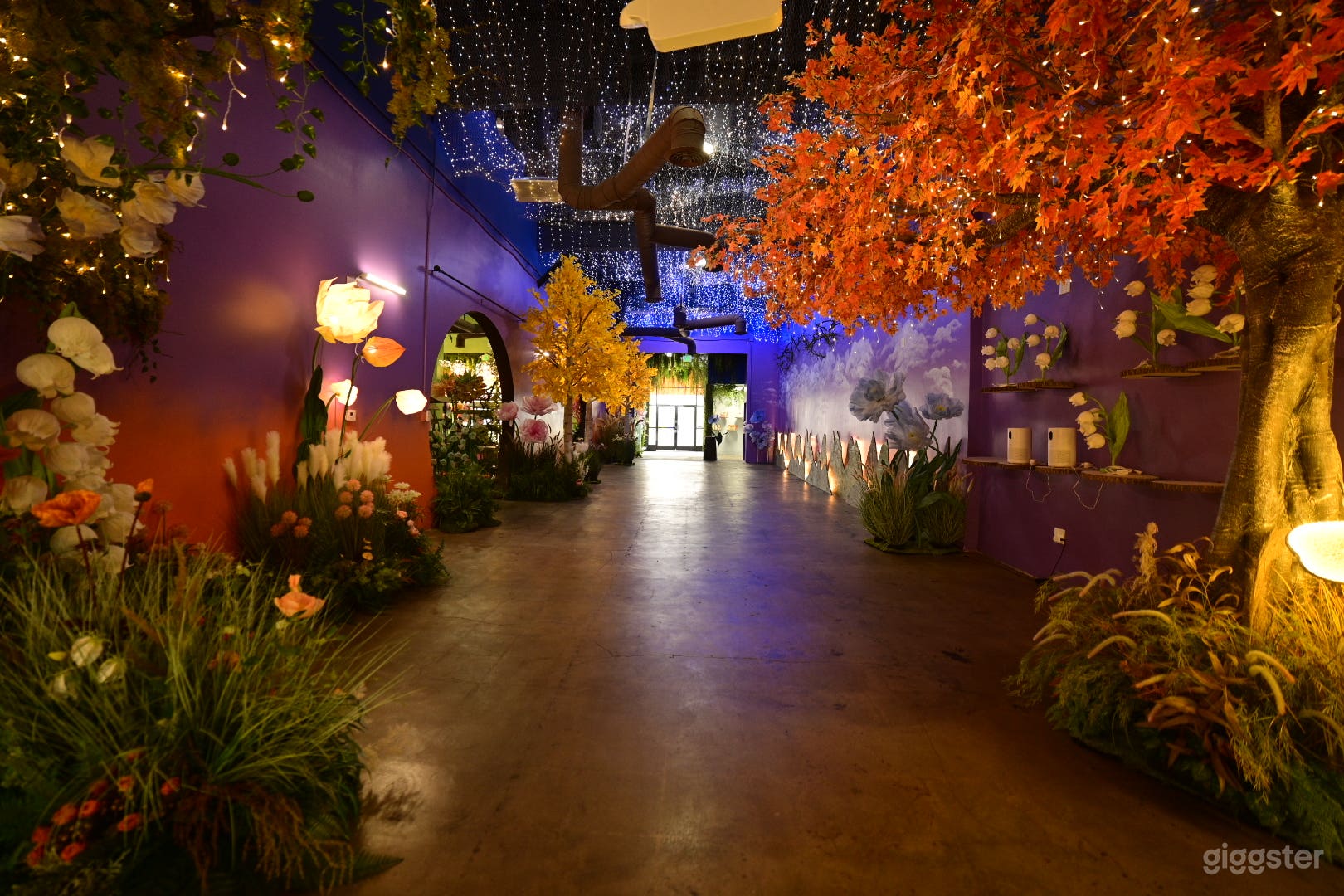 Splash of colors! (no photoshop done to the pic)