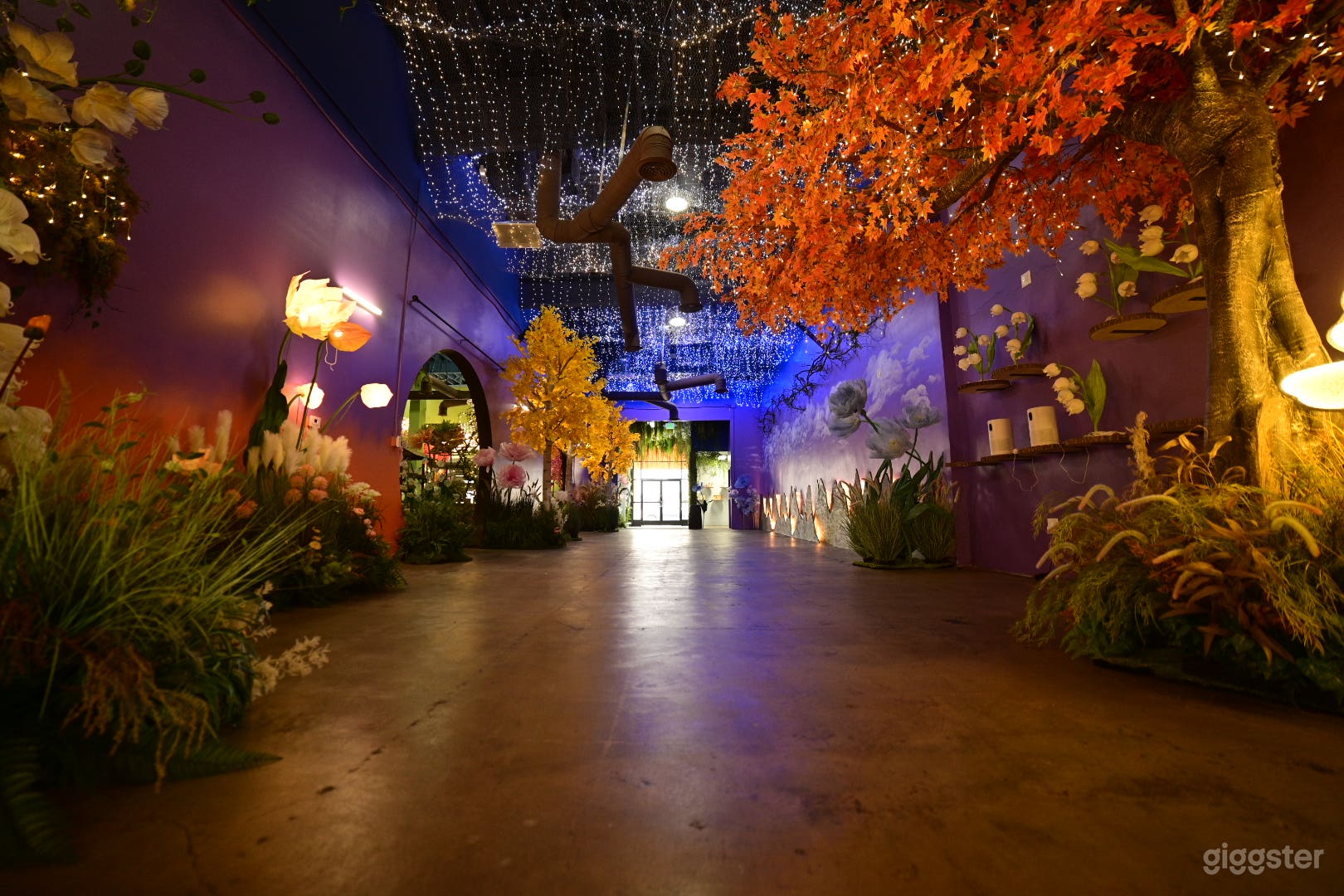 Color comparison - Taken with professional camera