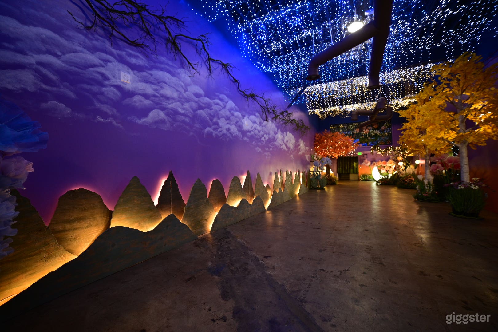 Starry Night Garden Photo 4