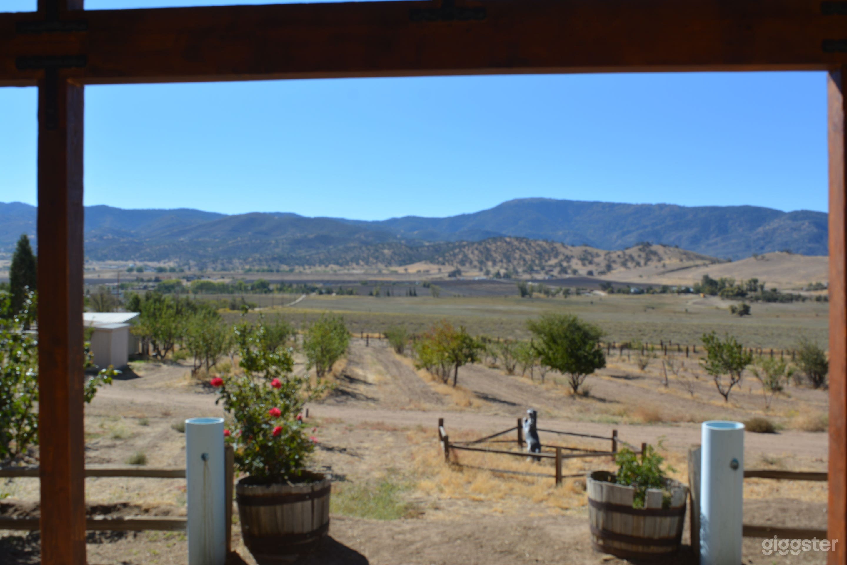 Rustic Elegance Meets Cinematic Charm: Paint Wagon Photo 2