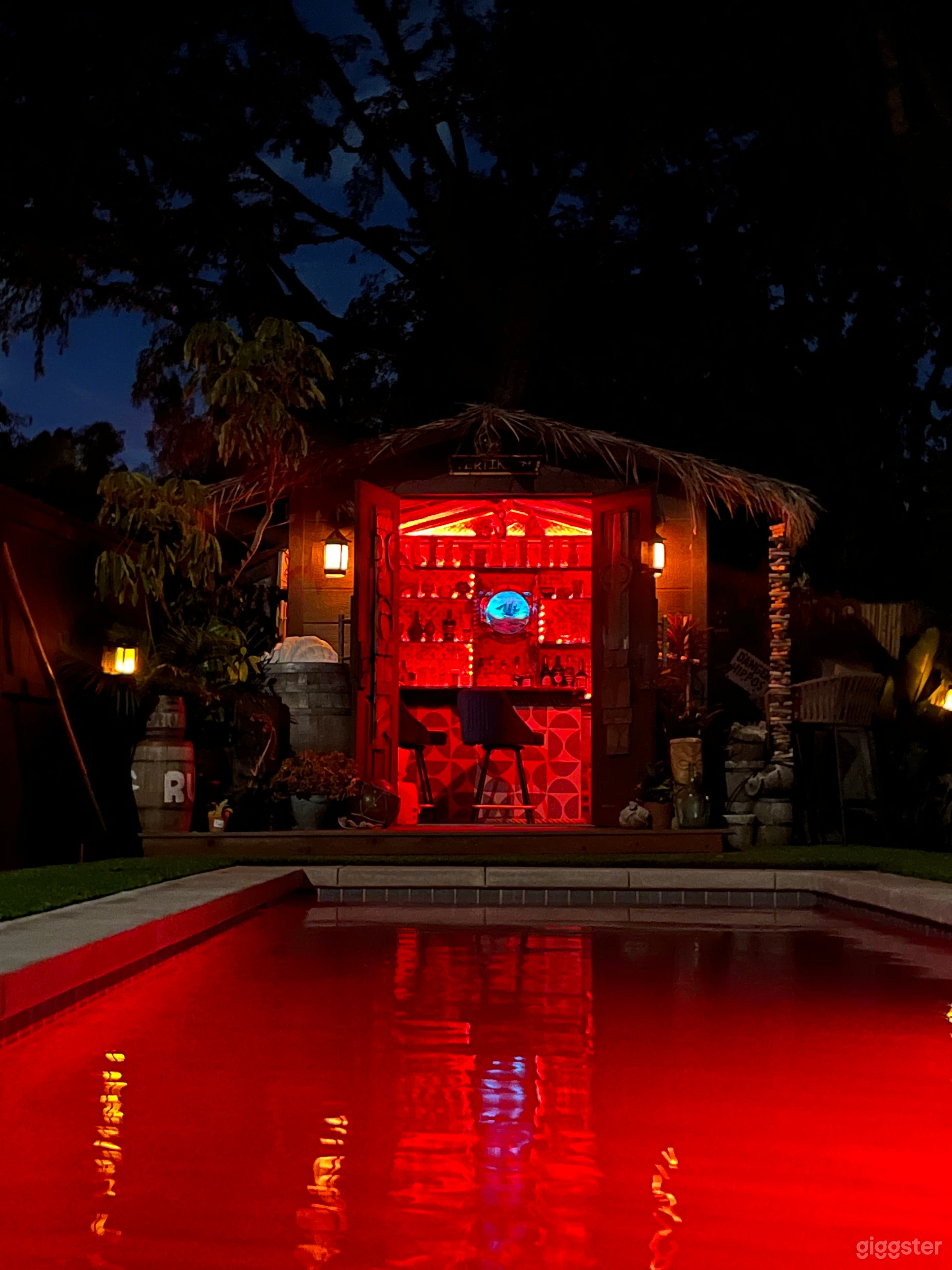 Tiki Bar &amp; Modern Pool Photo 3