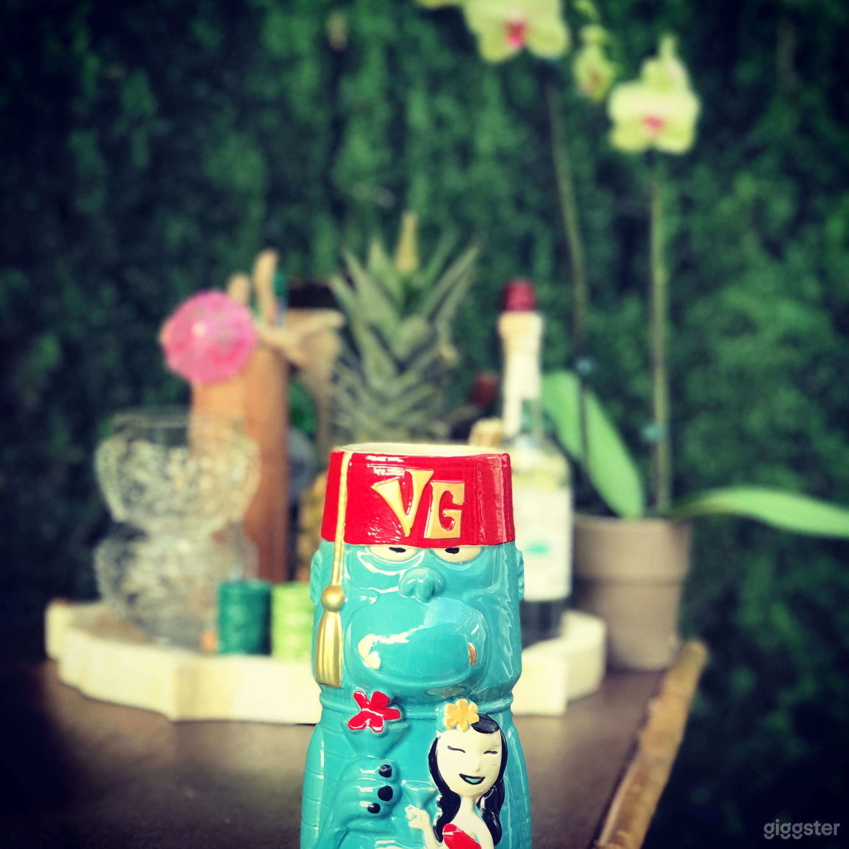 Tiki Bar &amp; Modern Pool Photo 4