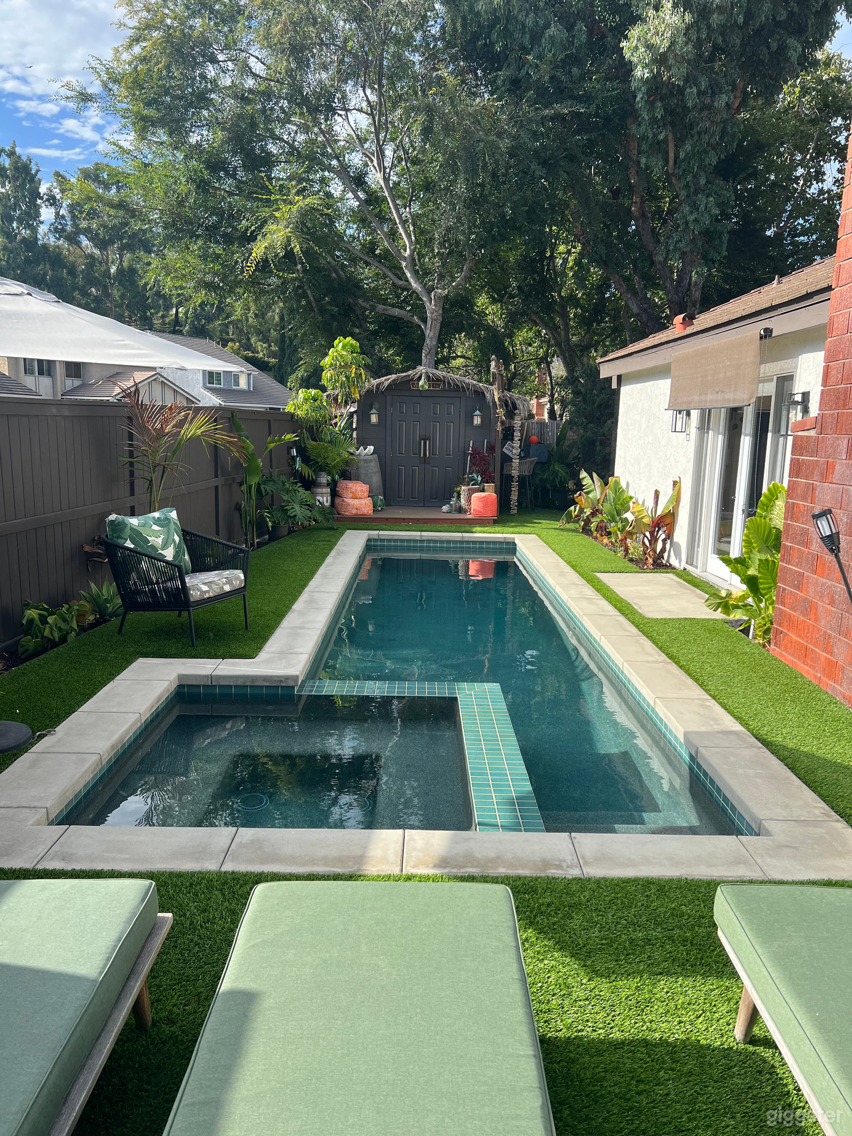 Tiki Bar &amp; Modern Pool Photo 1