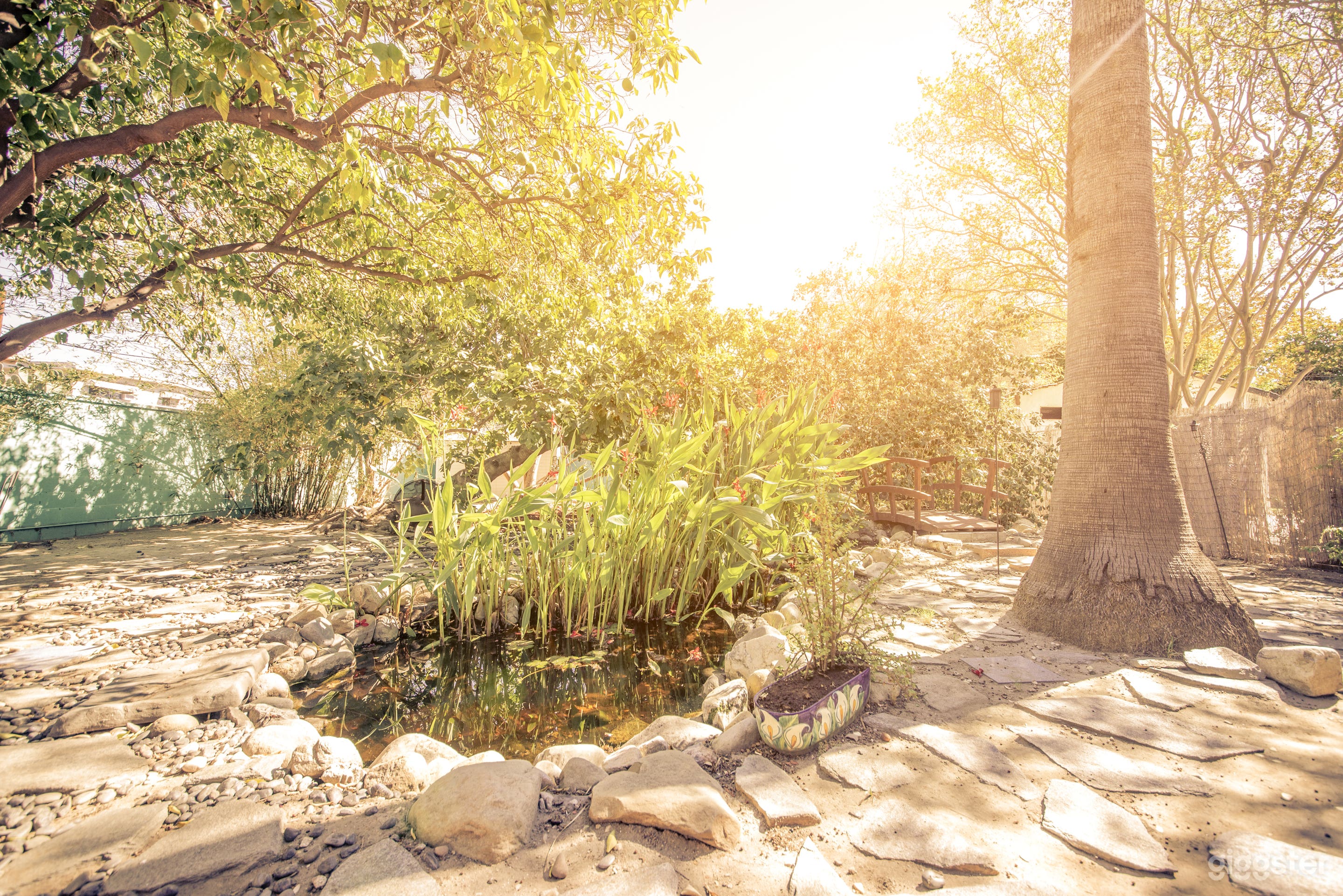 Zen Garden by Universal &amp; Hollywood Photo 4