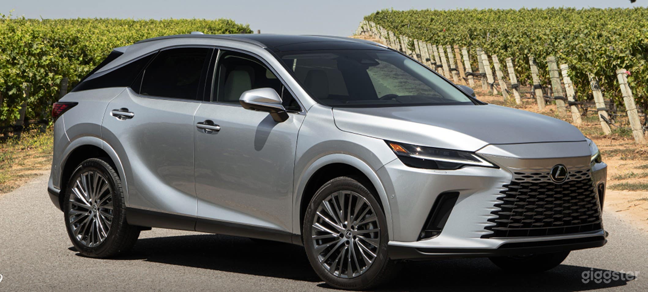 Experience Comfort And Elegance With Our Lexus RX Photo 2