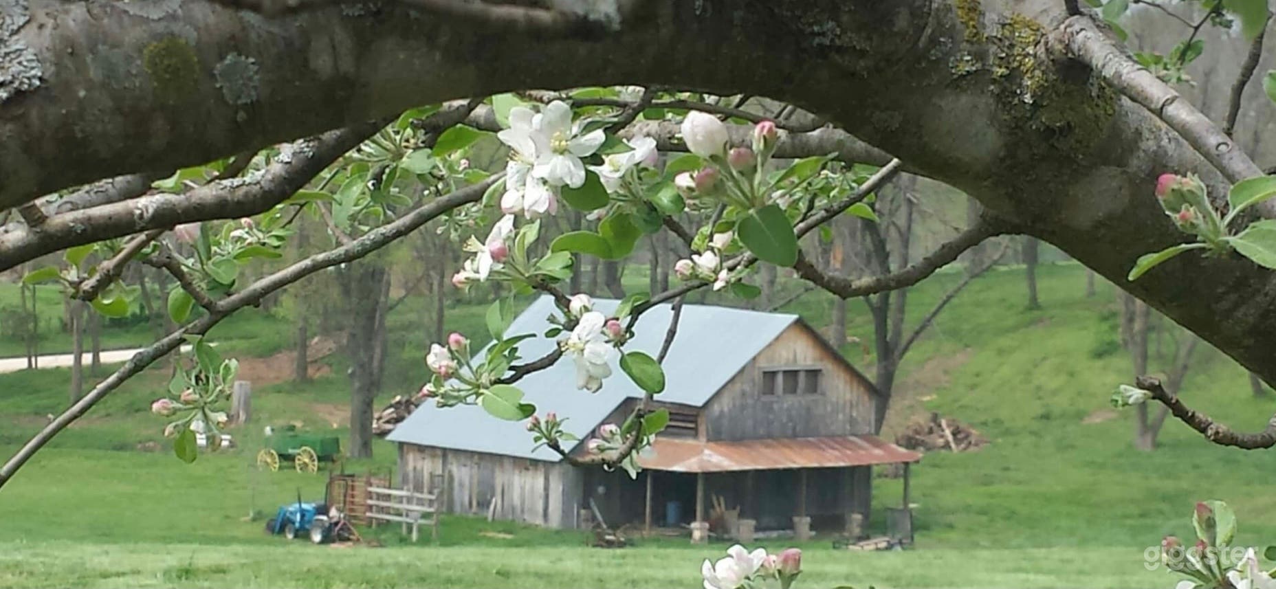 The barn during springtime