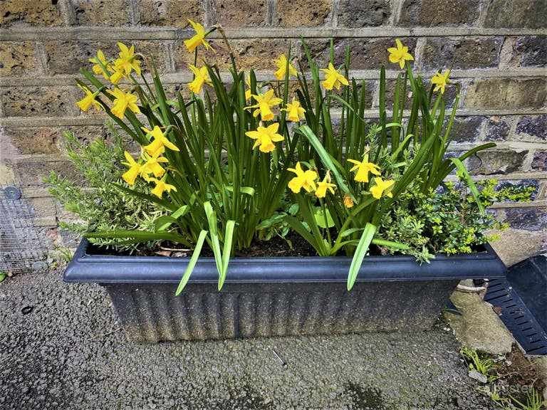  Teaching London: LDBS SCITT 