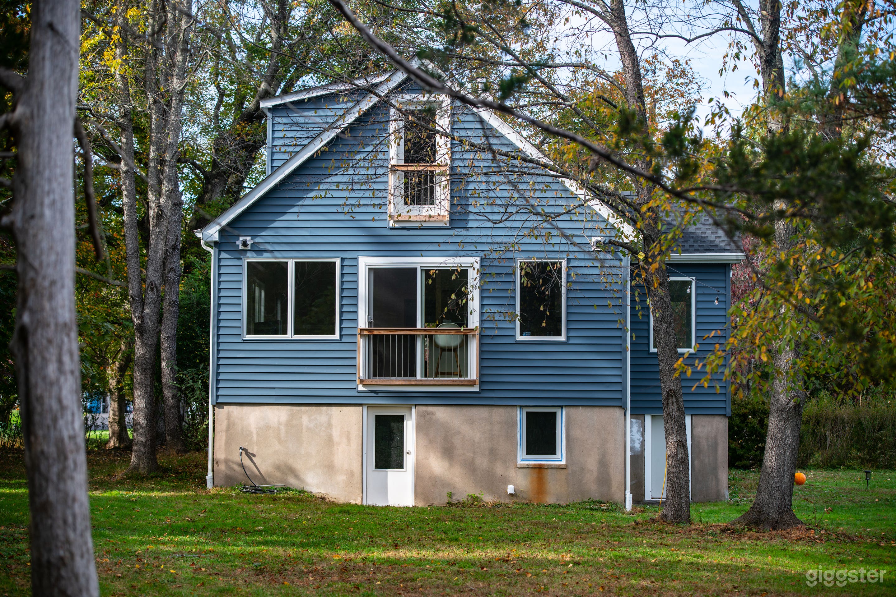 28 Acre Alpaca Farm, 2 Houses, Trees &amp; Open Fields Photo 3