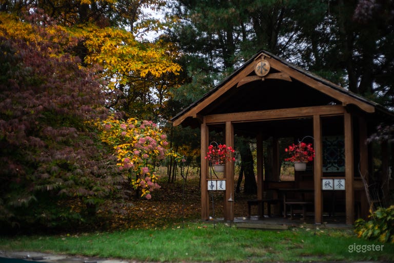  28 Acre Alpaca Farm, 2 Houses, Trees & Open Fields 