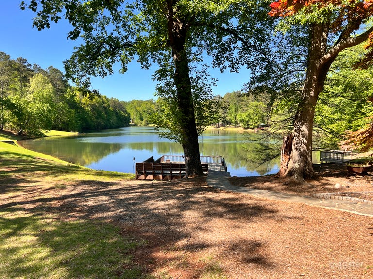  View of lake from backyard 